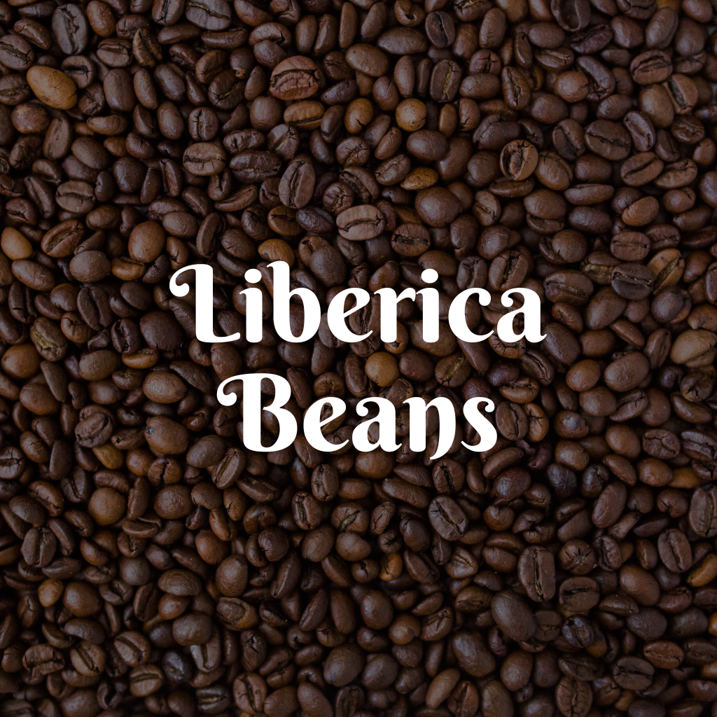 Liberica Beans